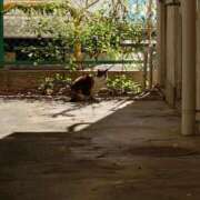 ヒメ日記 2026/01/10 13:14 投稿 あき CLASSY.名古屋・新栄店