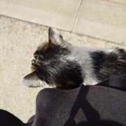 ヒメ日記 2026/02/09 13:20 投稿 あき CLASSY.名古屋・新栄店