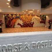 ヒメ日記 2025/11/16 13:14 投稿 三森 松戸おかあさん