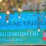 ヒメ日記 2025/11/16 17:35 投稿 三森 松戸おかあさん