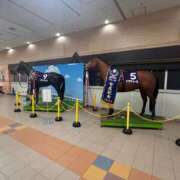 ヒメ日記 2025/12/21 18:20 投稿 三森 松戸おかあさん