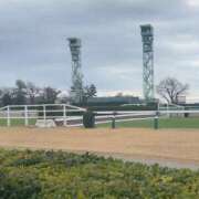 ヒメ日記 2025/12/27 13:05 投稿 三森 松戸おかあさん