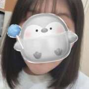 ヒメ日記 2025/11/14 11:51 投稿 のぞみ マーガレット