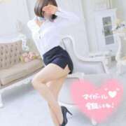 ヒメ日記 2026/02/19 23:03 投稿 フワリ秘書 秘書の品格 クラブアッシュ ヴァリエ