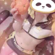 ヒメ日記 2026/02/24 15:48 投稿 フワリ秘書 秘書の品格 クラブアッシュ ヴァリエ