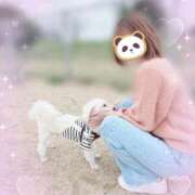 ヒメ日記 2026/02/27 00:07 投稿 フワリ秘書 秘書の品格 クラブアッシュ ヴァリエ