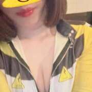 ヒメ日記 2026/03/03 15:44 投稿 フワリ秘書 秘書の品格 クラブアッシュ ヴァリエ