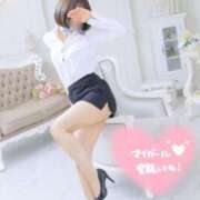 ヒメ日記 2026/03/05 12:50 投稿 フワリ秘書 秘書の品格 クラブアッシュ ヴァリエ