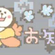ヒメ日記 2026/08/18 11:48 投稿 フワリ秘書 秘書の品格 クラブアッシュ ヴァリエ