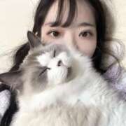 ヒメ日記 2025/11/21 13:20 投稿 ノノ ピカソ