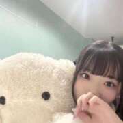 ヒメ日記 2025/12/14 11:53 投稿 ノノ ピカソ