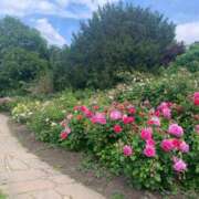 ヒメ日記 2025/11/22 07:48 投稿 花染衣月 お姉さんCLUB