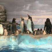 ヒメ日記 2025/11/30 22:18 投稿 花染衣月 お姉さんCLUB