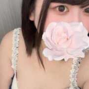 ヒメ日記 2025/12/04 10:59 投稿 くるみ 白いぽっちゃりさん五反田店