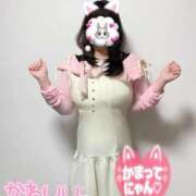 みだれ 気まぐれにゃんこ🐈‍⬛🎀 奥様特急新潟店