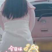 ヒメ日記 2026/04/25 12:20 投稿 みだれ 奥様特急新潟店
