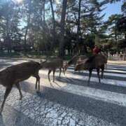 ヒメ日記 2026/02/03 20:16 投稿 君嶋咲結-SAYU- Casual Rich 5（カジュアルリッチファイブ）