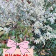 ヒメ日記 2025/11/26 22:08 投稿 はるな ニューヨークニューヨーク