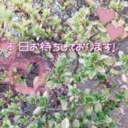 はるな おはようございます😊 ニューヨークニューヨーク