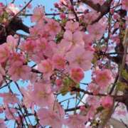 はるな 明日出勤します✨ ニューヨークニューヨーク