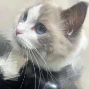 ヒメ日記 2025/11/26 12:42 投稿 心愛【ココア】 ピンクコレクション尼崎店