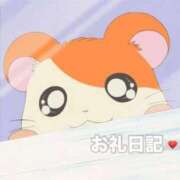 心愛【ココア】 3:30〜 日本橋のお兄さん♡ ピンクコレクション尼崎店