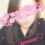 ヒメ日記 2025/11/23 15:01 投稿 あまね 甲府人妻隊