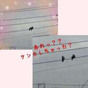 ヒメ日記 2026/02/12 19:02 投稿 あまね 甲府人妻隊