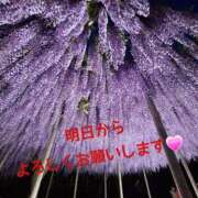 ヒメ日記 2026/05/11 19:35 投稿 あまね 甲府人妻隊