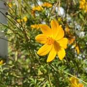 ヒメ日記 2025/11/22 13:33 投稿 本田みあ 宇都宮回春性感クリニック