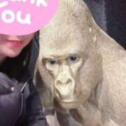 ヒメ日記 2025/11/25 00:57 投稿 西奈 ひまり こあくまな熟女たち 神戸西・明石店（KOAKUMAグループ）