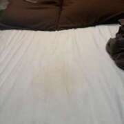 ヒメ日記 2025/11/22 22:30 投稿 西奈 ひまり こあくまな熟女たち 加古川店 (KOAKUMAグループ)