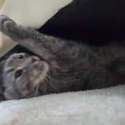 ゆきみ ごめんなさい🙏💦 千葉ミセスアロマ（ユメオト）