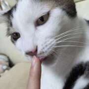 ヒメ日記 2025/12/22 16:28 投稿 ゆきみ 千葉ミセスアロマ（ユメオト）