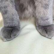 ヒメ日記 2026/01/15 19:21 投稿 ゆきみ 千葉ミセスアロマ（ユメオト）