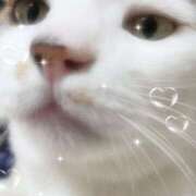 ヒメ日記 2026/02/21 17:55 投稿 ゆきみ 千葉ミセスアロマ（ユメオト）