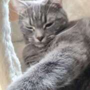 ヒメ日記 2026/03/07 17:28 投稿 ゆきみ 千葉ミセスアロマ（ユメオト）