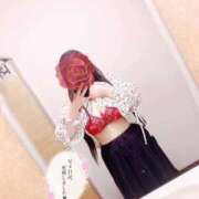 ヒメ日記 2025/12/31 10:33 投稿 やげん OH！PAI