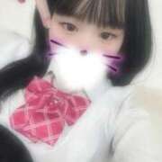 ヒメ日記 2026/01/31 21:08 投稿 くらげ 萌えカワ