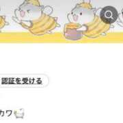 ヒメ日記 2026/03/13 22:32 投稿 くらげ 萌えカワ