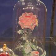 ヒメ日記 2026/04/29 12:22 投稿 くらげ 萌えカワ