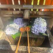 ヒメ日記 2026/06/21 14:35 投稿 くらげ 萌えカワ