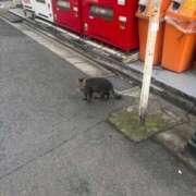 ヒメ日記 2026/10/01 08:32 投稿 くらげ 萌えカワ