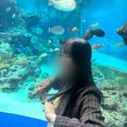 ヒメ日記 2025/11/24 19:46 投稿 みさ ジュリアングループ八王子店