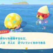 ヒメ日記 2026/04/12 00:01 投稿 うさ ラブ・アンド・ラブ