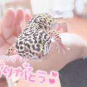 ヒメ日記 2025/11/14 23:38 投稿 くう 宮城♂風俗の神様 仙台店