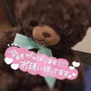 ヒメ日記 2025/11/22 14:05 投稿 くう 宮城♂風俗の神様 仙台店