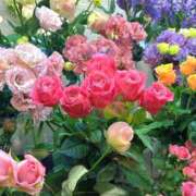 ヒメ日記 2026/01/07 14:51 投稿 神崎 れんか やみつきエステ 渋谷店