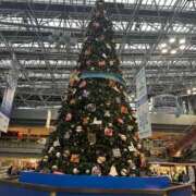 ヒメ日記 2025/12/18 12:47 投稿 まゆみ ママれもん錦糸町店