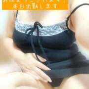 ヒメ日記 2026/04/28 10:00 投稿 鷲見 かな 30代40代50代と遊ぶなら博多人妻専科24時